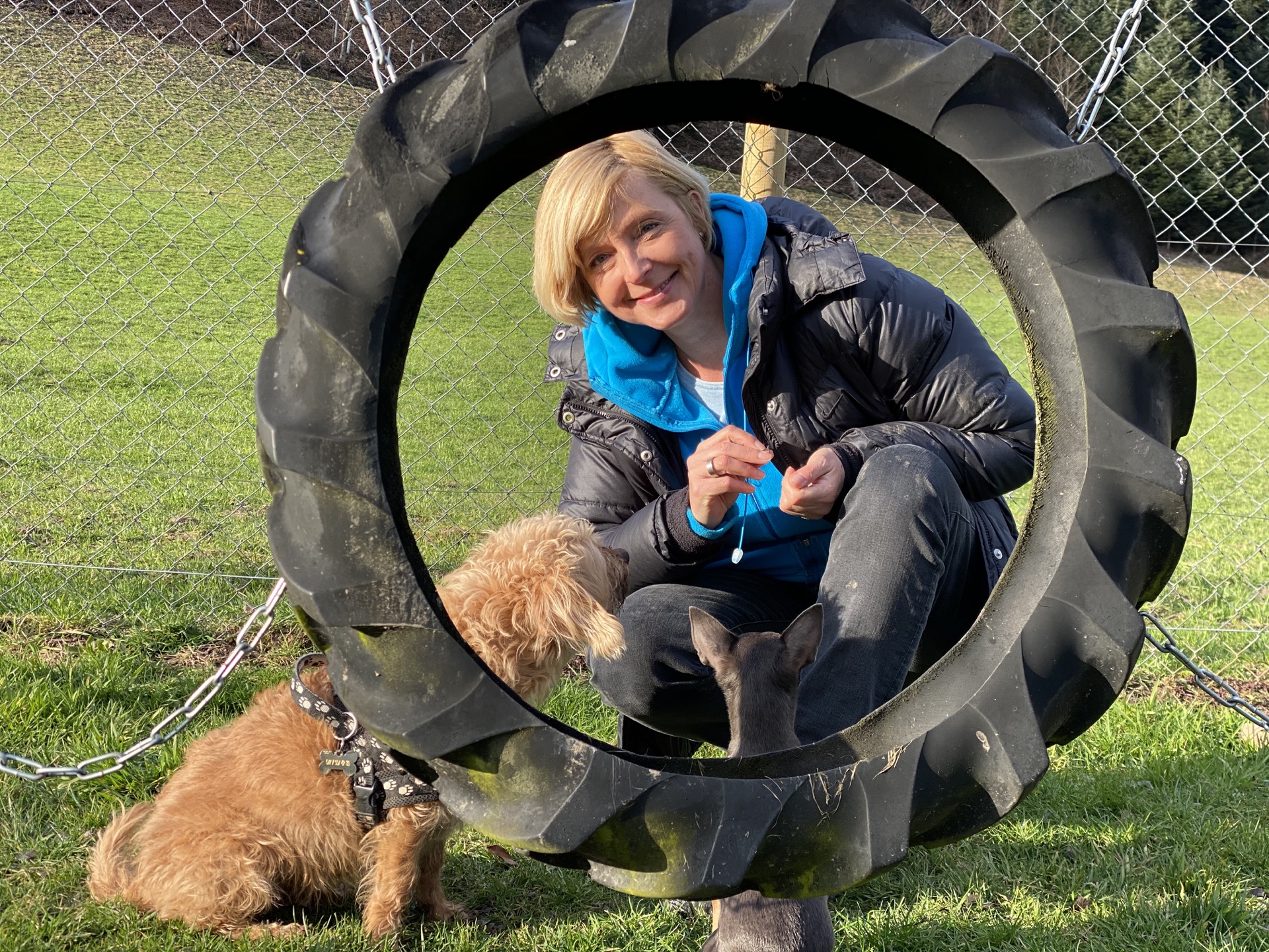 Outdoortraining mit Hunden